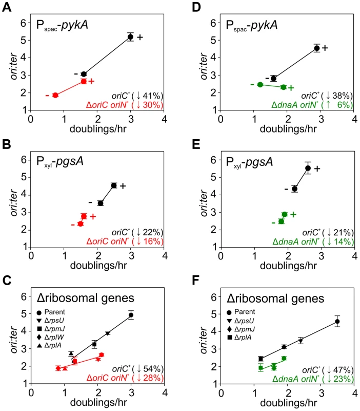 Analysis of <i>oriC</i>-independent growth rate regulation through genetic targeting of essential cellular activities.