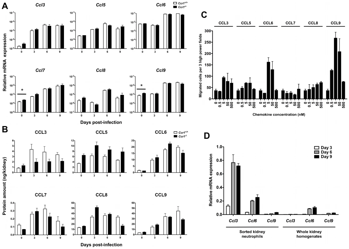 Ccr1 ligands are induced after <i>Candida</i> infection and are chemotactic for kidney neutrophils <i>ex vivo</i>.