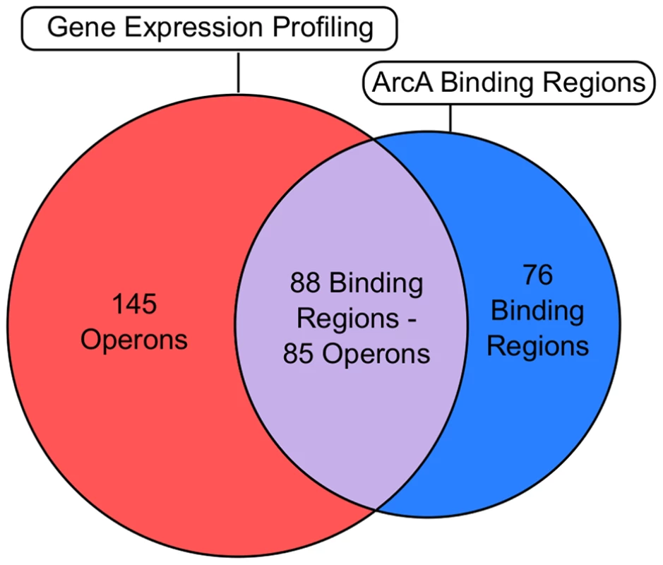 Correlation of the global binding site data with transcriptomic data.