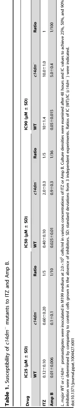 Susceptibility of <i>c14dm</i><sup>−</sup> mutants to ITZ and Amp B.