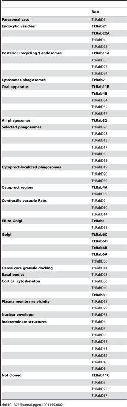 Summary of all TtRabs based on primary localization pattern.