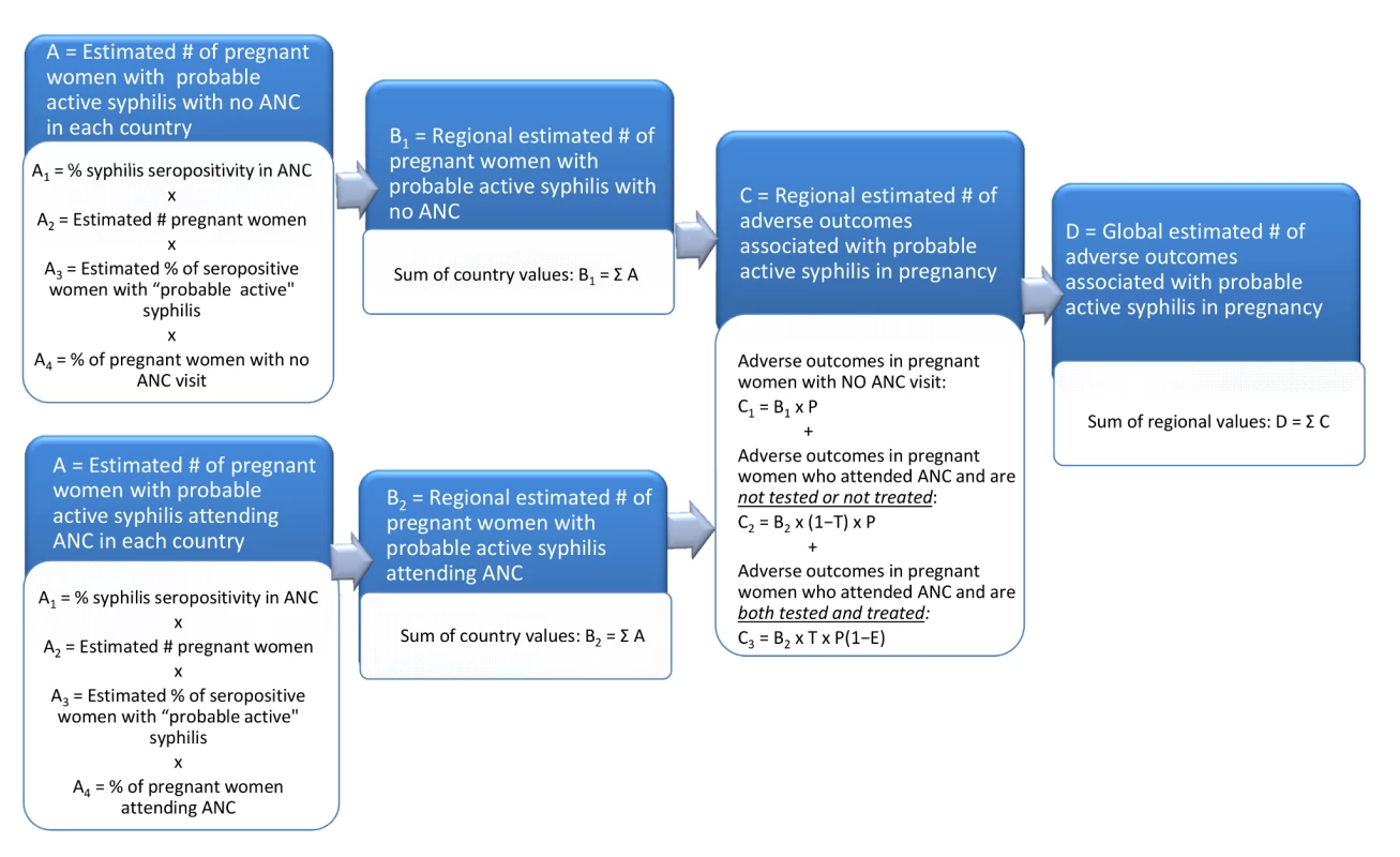 Flowchart of model to estimate number of adverse outcomes associated with syphilis in pregnancy.