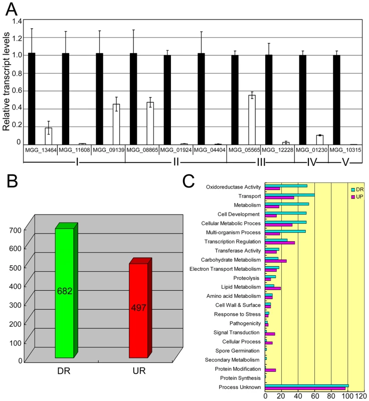 Differential gene expression analysis on transcriptomes of the <i>Moap1</i> mutant and Guy11 strains.