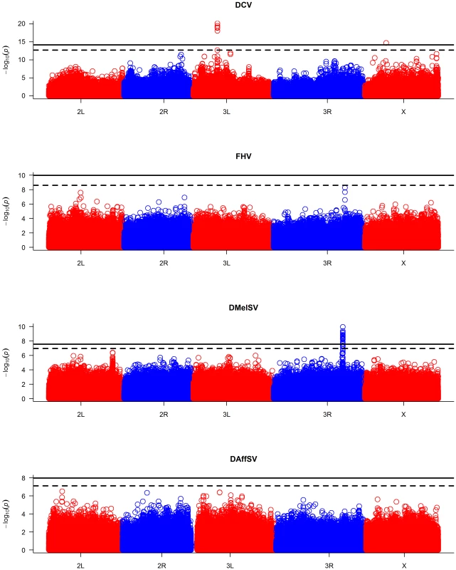 Manhattan plots of the <i>P</i>-values for the association between SNPs and virus resistance.
