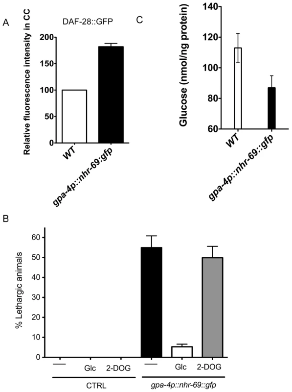 ASI-specific over-expression of NHR-69 confers hypoglycemia.