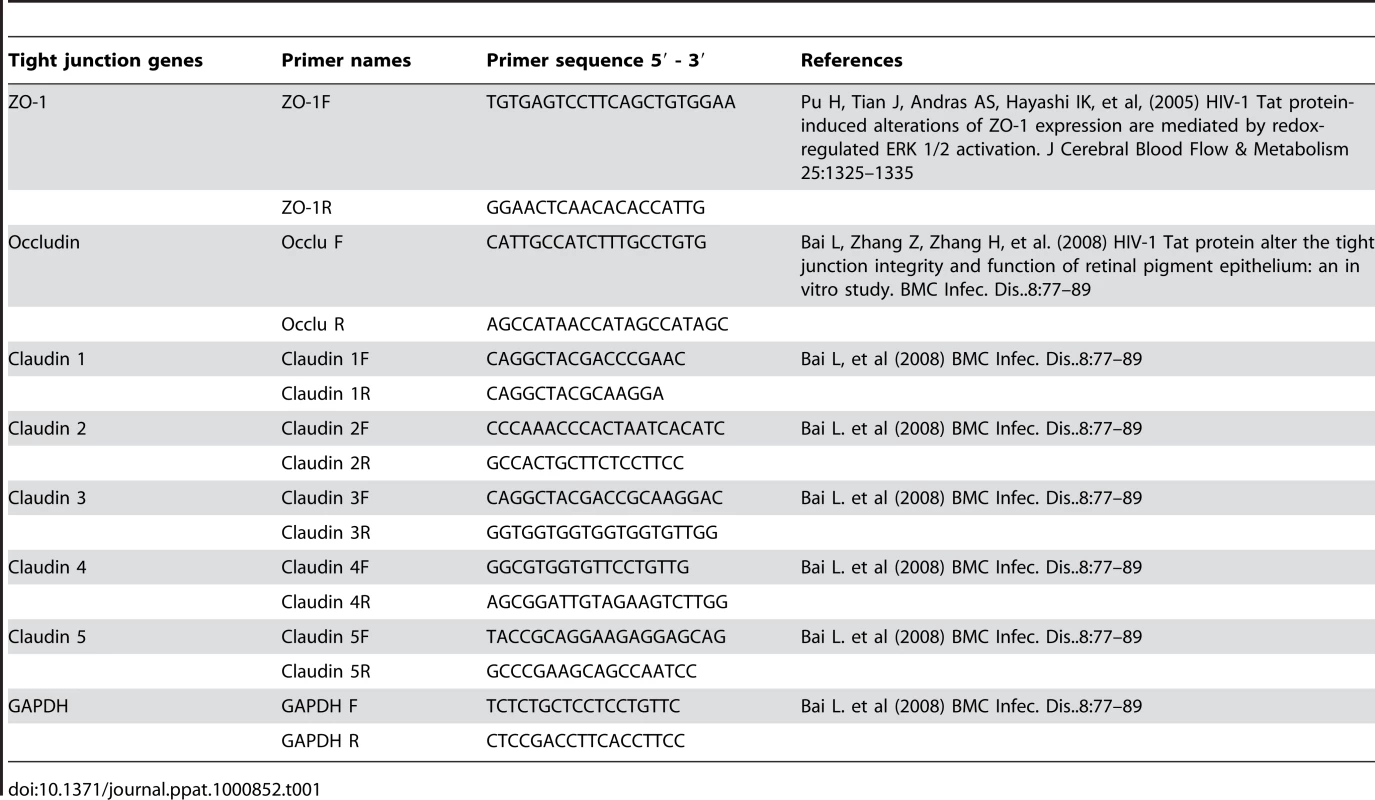 Primers used for Real Time PCR for different tight junction genes.