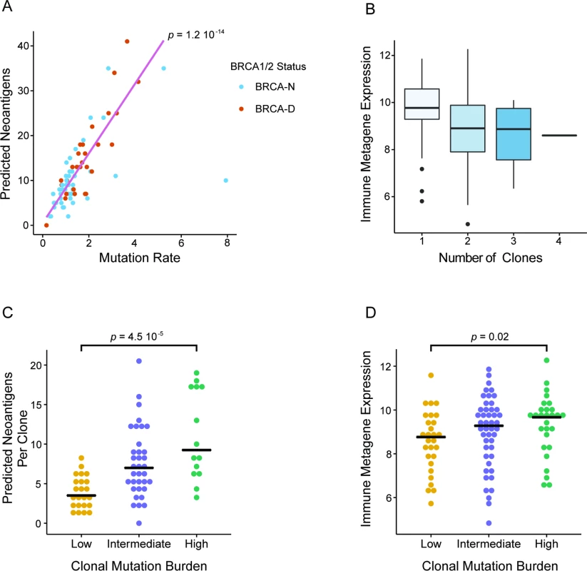 Clonal mutation burden and BRCA deficiency linked to immune activation in triple negative breast cancer.