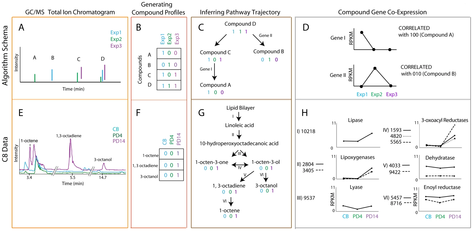 Coupled transcriptomics and metabolomics to generate pathway predictions.