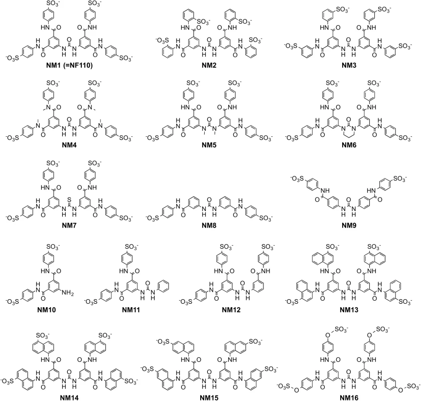 Structures of newly-synthesized NF449 analogues.
