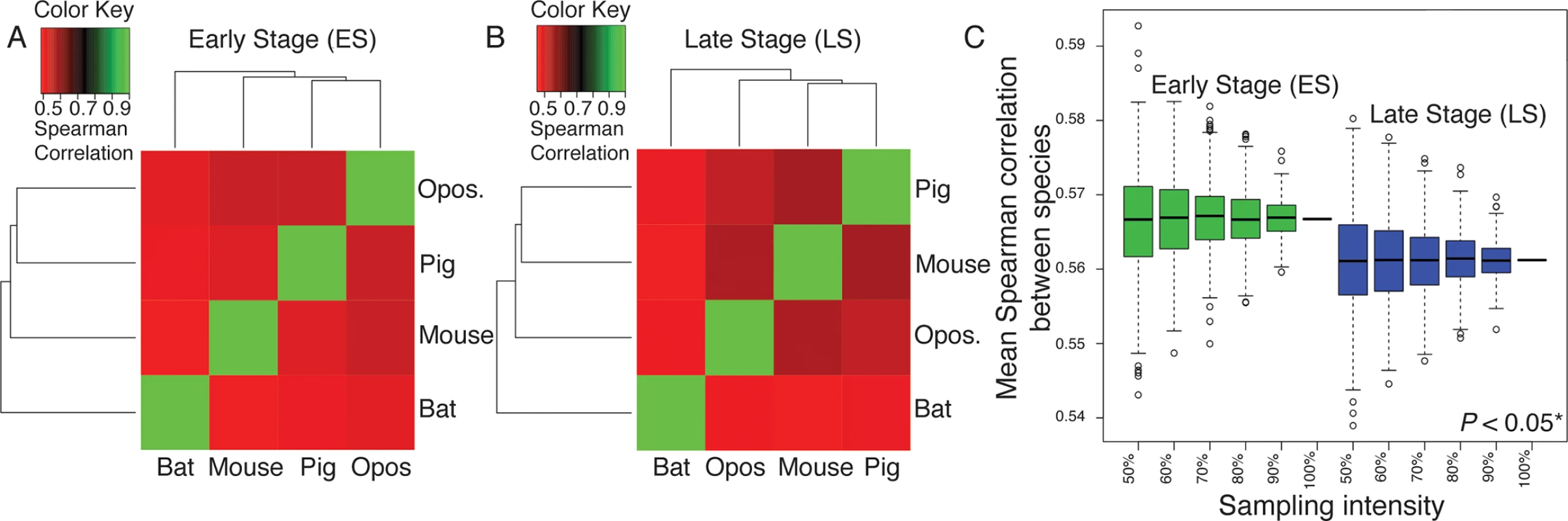 Overall patterns of gene expression are positively correlated among all examined mammals during the Early (ES; A) and Late (LS; B) stages of limb development.