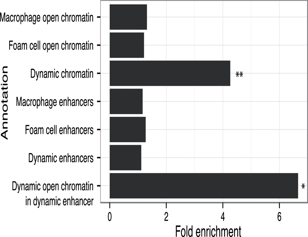 CAD loci are enriched in oxLDL-regulated open chromatin sites.