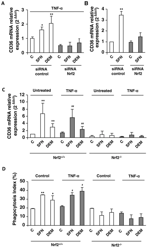 Nrf2 transcription factor is involved in CD36 overexpression during inflammatory processes.