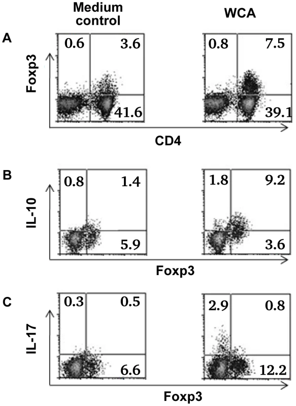 Cytokine expression by Foxp3+ Treg in adenoidal cells.