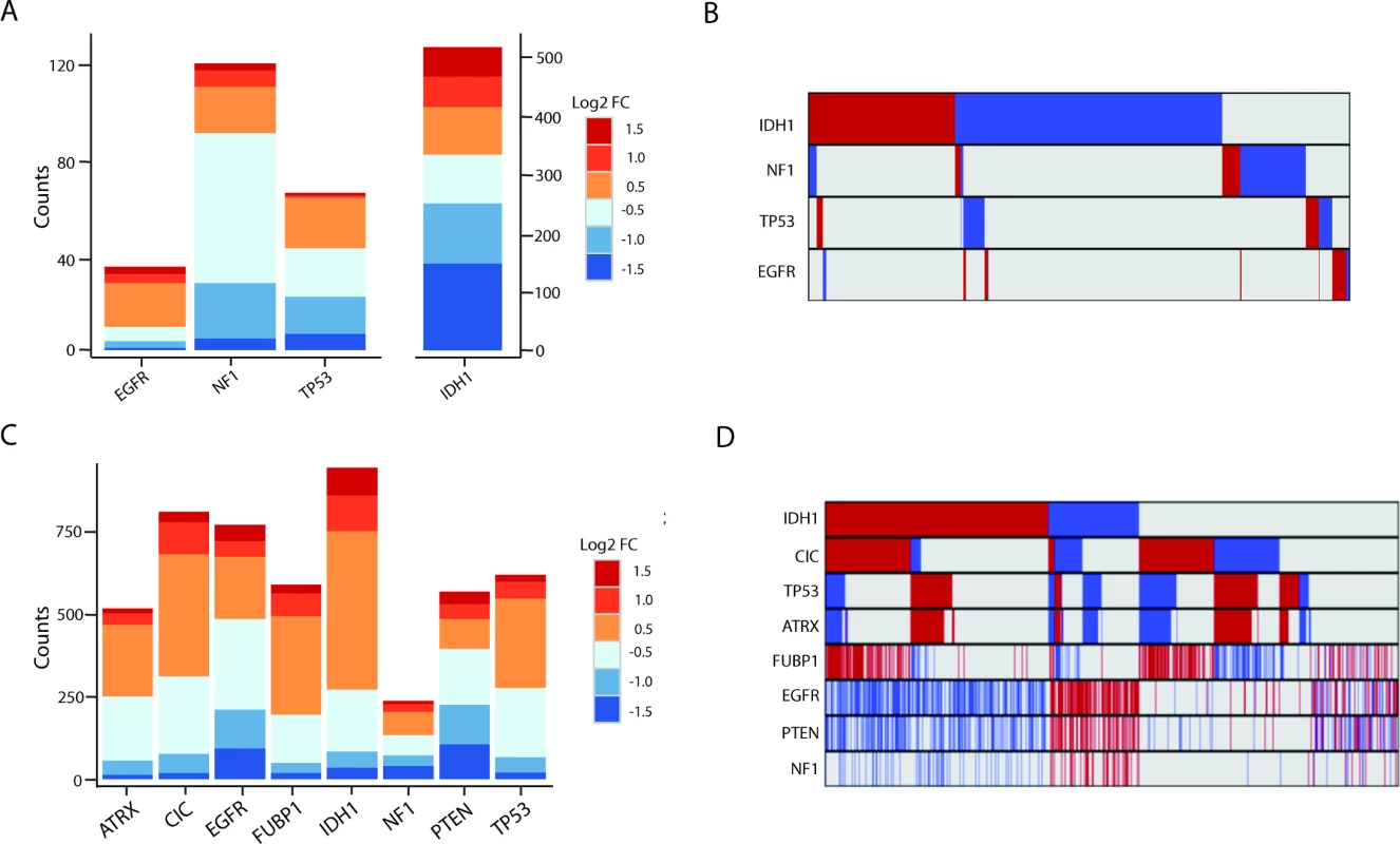 Many lncRNAs are associated with common mutations in GBMs and LGGs.