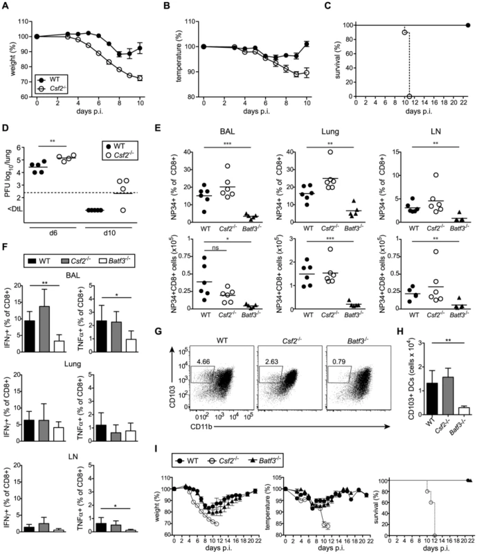 <i>Csf2</i><sup>−/−</sup> mice succumb to influenza virus infection despite intact antiviral T and B cell responses.