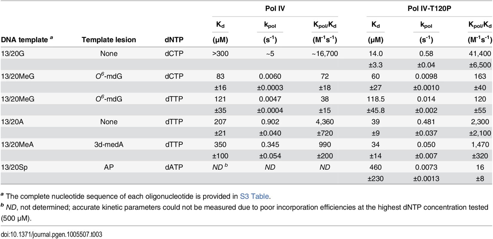 Kinetic constants for wild type Pol IV and Pol IV-T120P nucleotide incorporation.