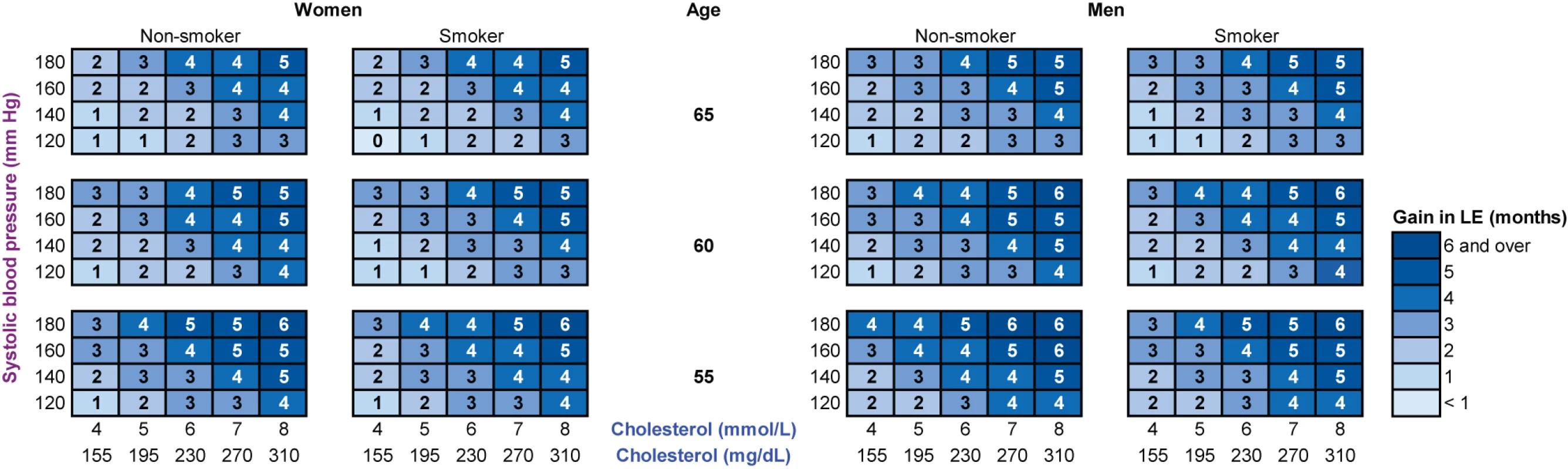 The gain in life expectancy (in months) with statin therapy, calculated with the RISC model.