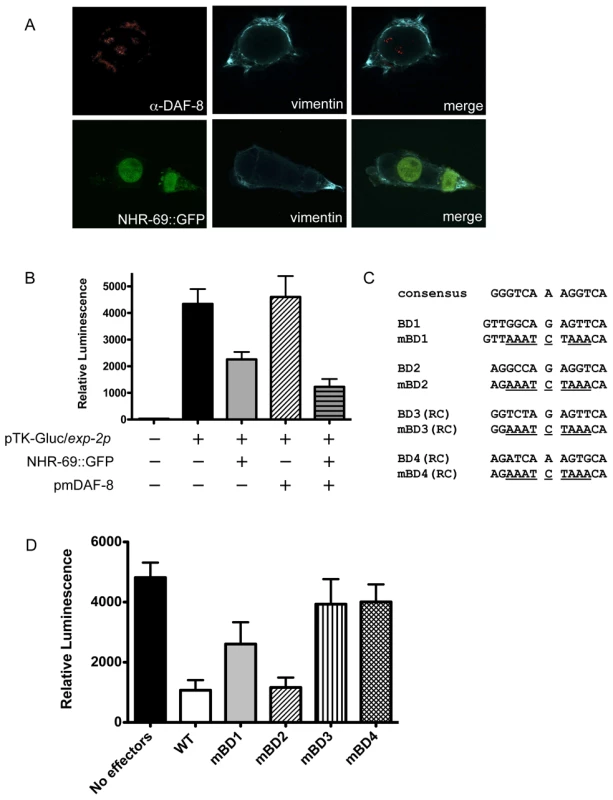 NHR-69 and DAF-8 suppress <i>exp-2</i> promoter activity in mammalian cells.