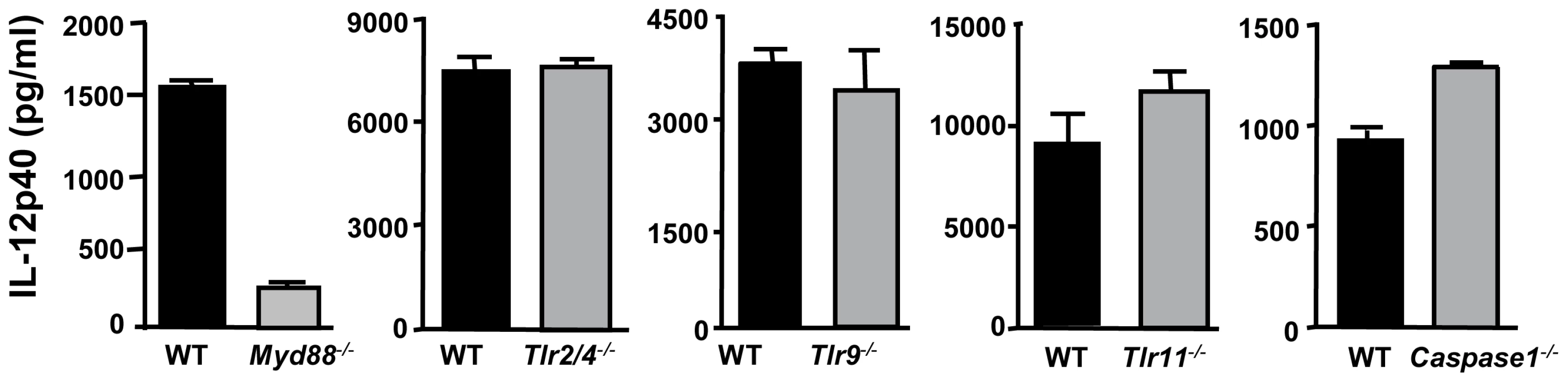 Induction of IL-12 by ΔROP16 tachyzoites requires MyD88, but occurs independently of TLR2, TLR4, TLR9, TLR11, and caspase-1.