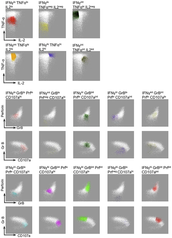 FLOCK gating strategy and description of IFN-g functional populations.