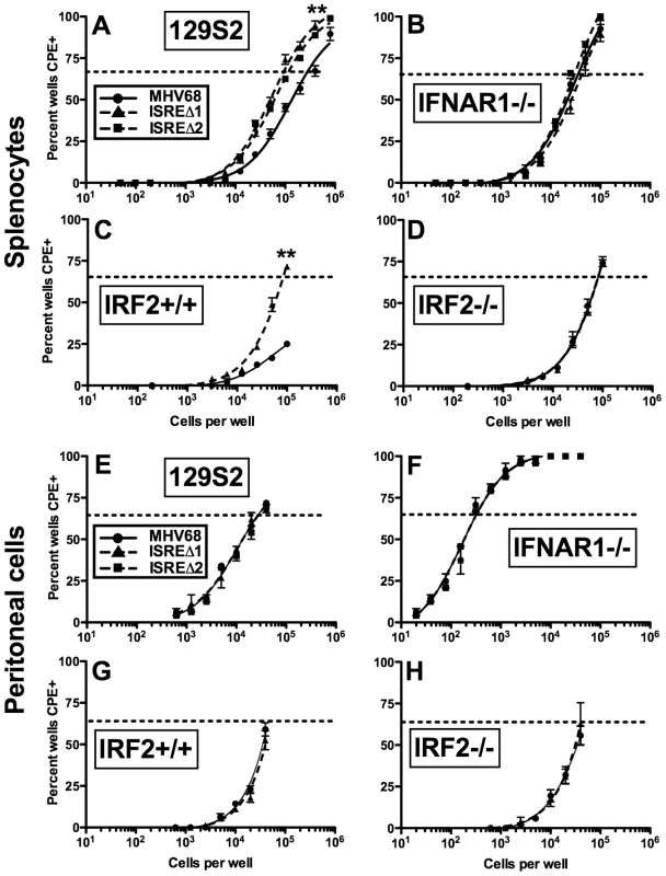 The M2 ISRE requires IFNAR1 and IRF2 to represses viral reactivation from latent splenocytes.