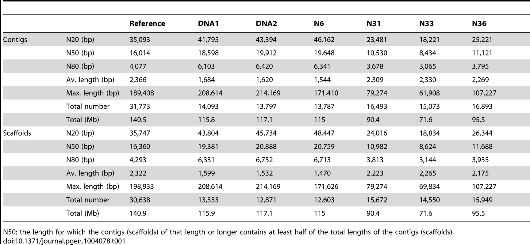 Characteristics of the seven genome assemblies from <i>R. irregularis</i> DAOM197198w.
