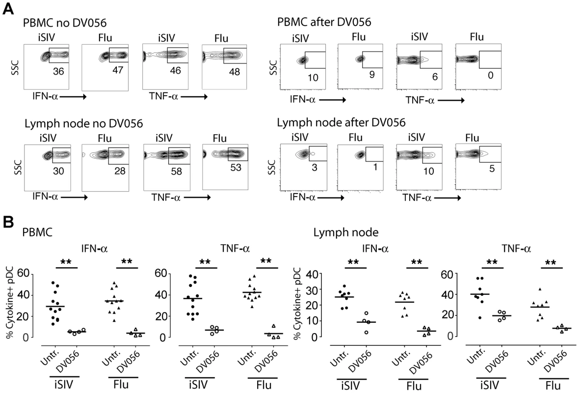 In vivo administration of TLR7 and TLR9 antagonist to rhesus macaques blocks pDC responses to virus stimulation.