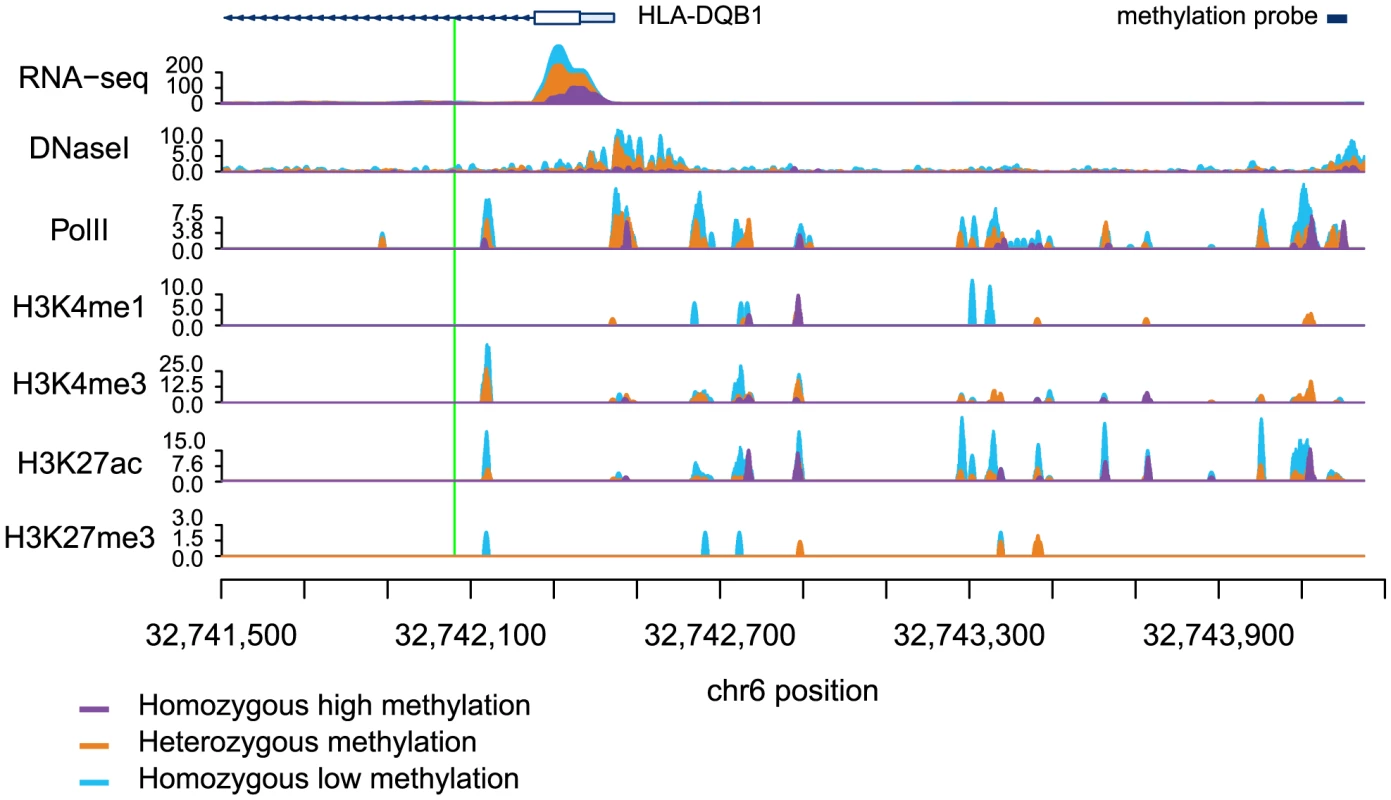 Read counts segregated by meQTL genotype for multiple regulatory phenotypes.