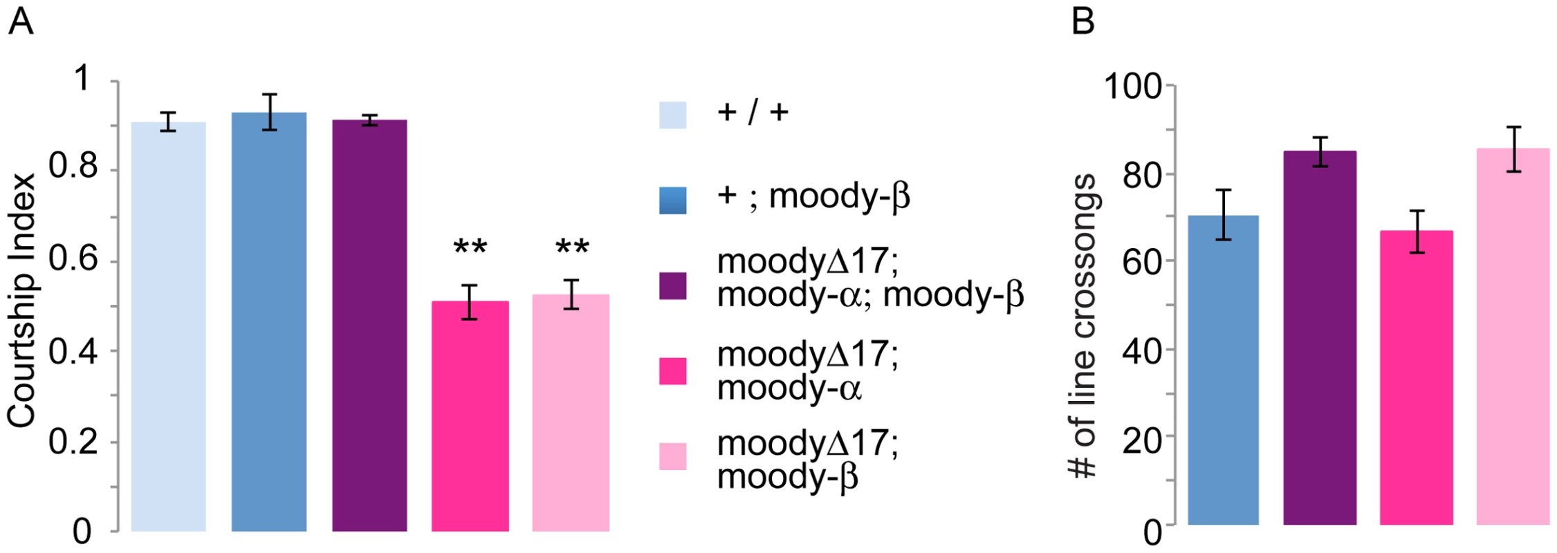 <i>moody-α</i> and <i>moody-β</i> mutants have courtship defects.