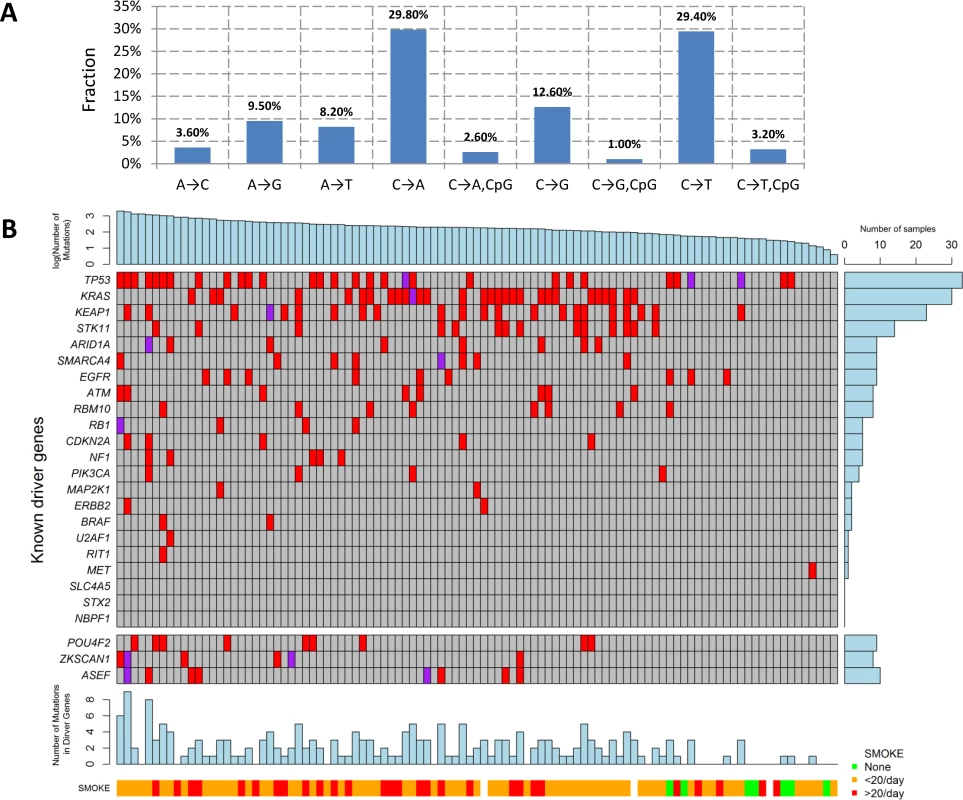 Somatic mutations of lung adenocarcinoma in EAGLE data.