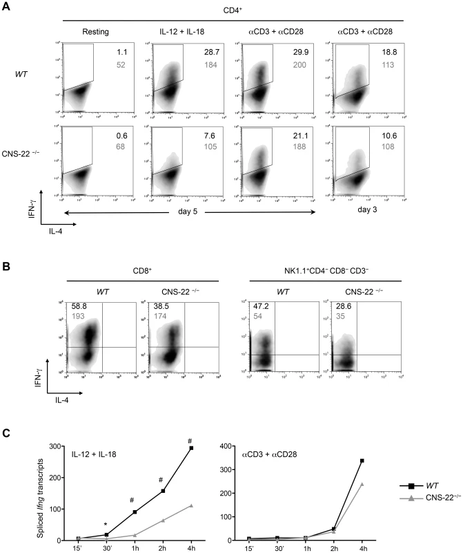 IL-12+IL-18 driven <i>Ifng</i> transcription is compromised in CNS-22<sup>−/−</sup> T cells and NK cells.