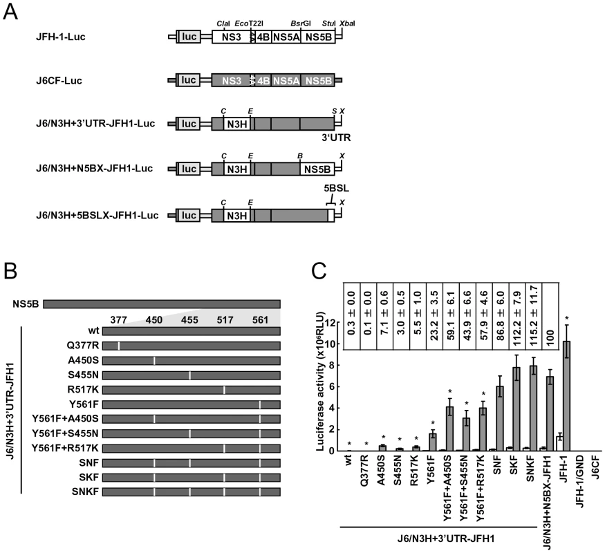Luciferase activity of J6CF backbone replicons containing substitutions in the NS5B region.