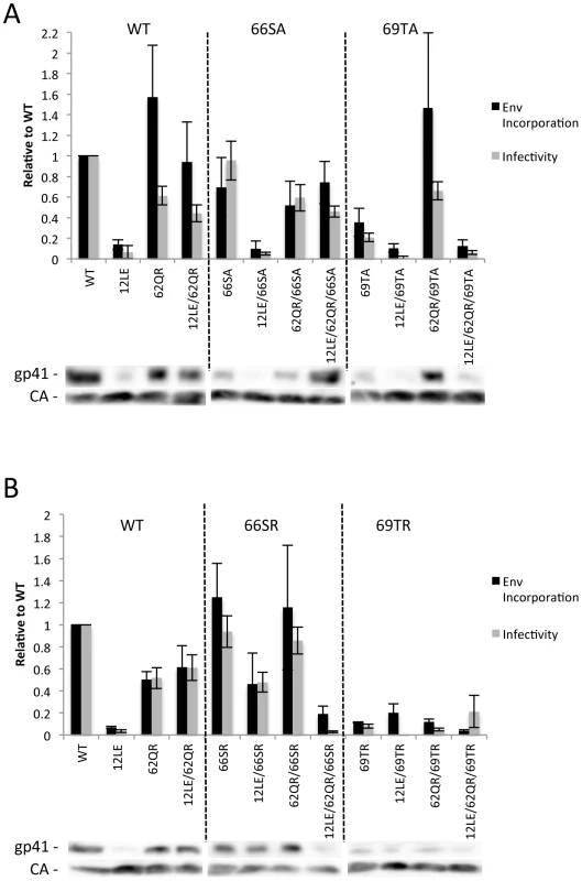 The effect of mutations at the trimer interface on rescue of Env incorporation.