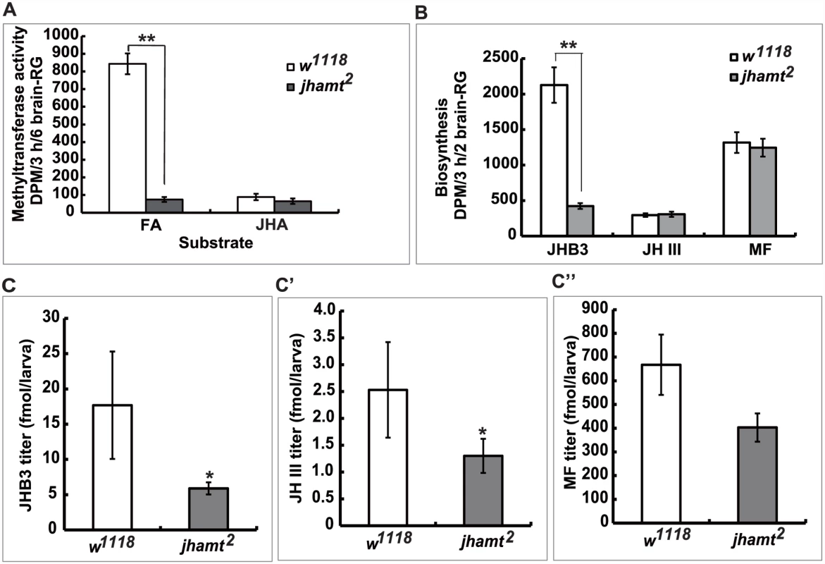Mutation of <i>jhamt</i> decreases JHB3 but not JH III and MF biosynthesis.