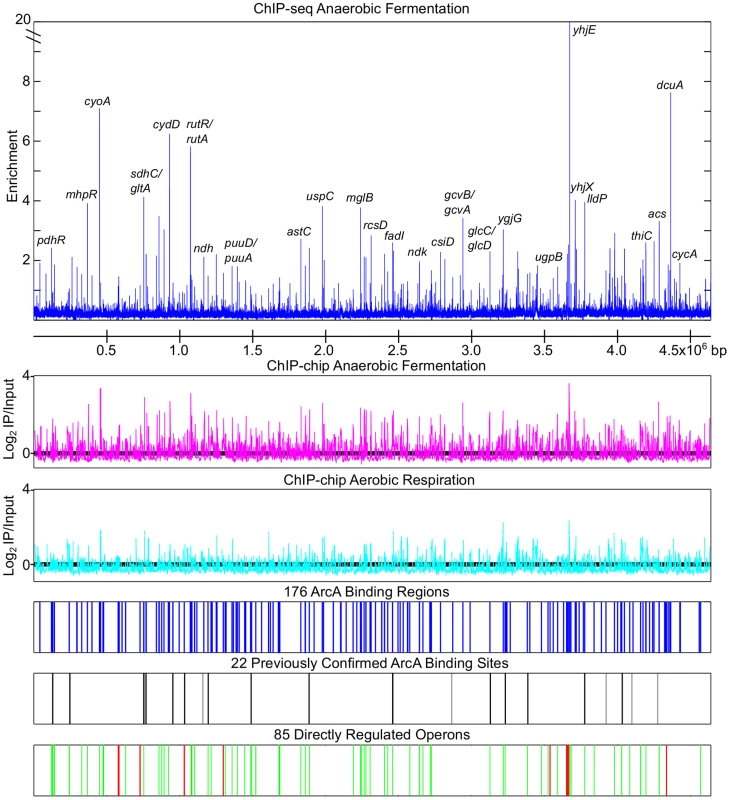 Genome wide overview of ArcA regulon analysis.