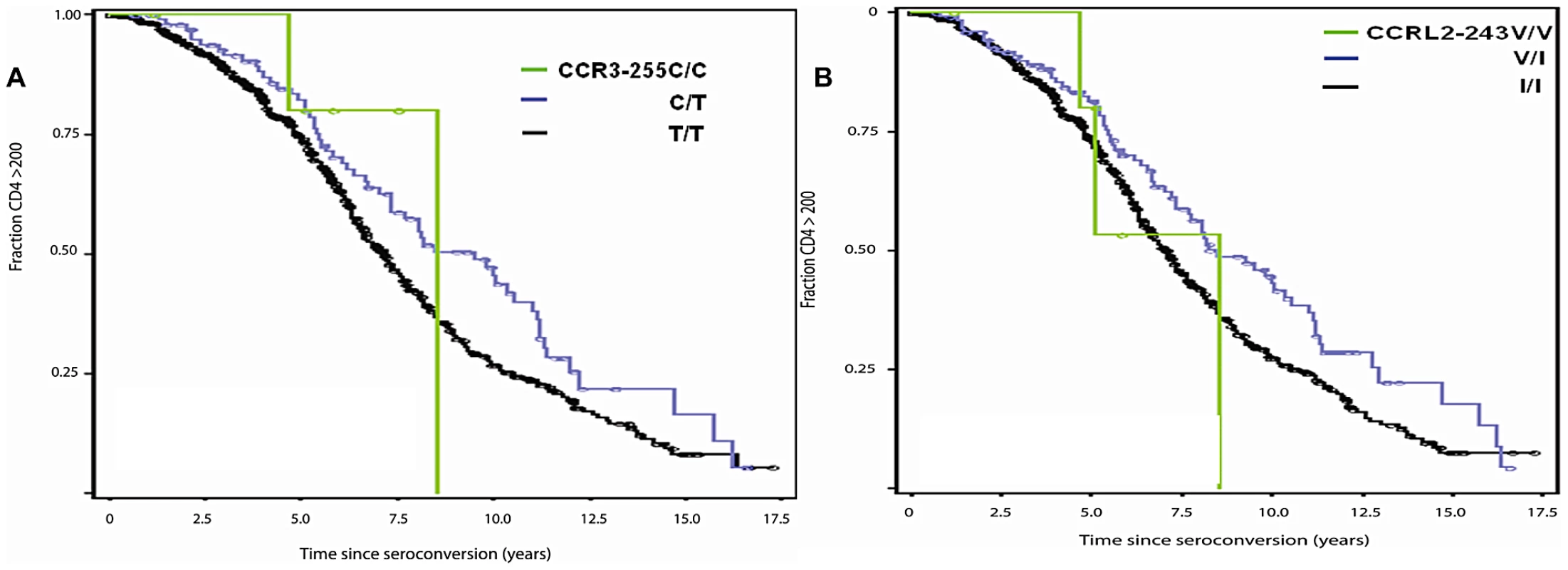 Genetic effect of <i>CCR3</i>-255C and <i>CCRL2</i>-243V on AIDS progression.