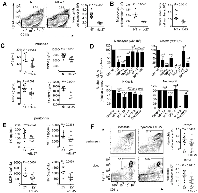 Late IL-27 treatment suppresses innate cell migration and chemokine production by CD11b<sup>+</sup> and CD11c<sup>+</sup> cells.