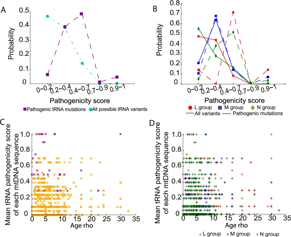 Pathogenicity of mtDNA tRNA variants in 30,506 mtDNA sequences.