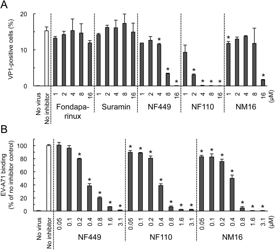 NF449, NF110, and NM16 inhibit virus interactions with Jurkat cells.