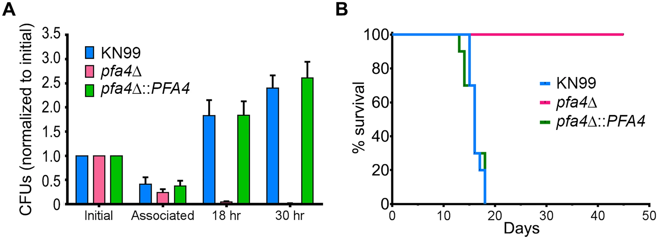 <i>pfa4</i>Δ is avirulent <i>in vitro</i> and <i>in vivo</i>.