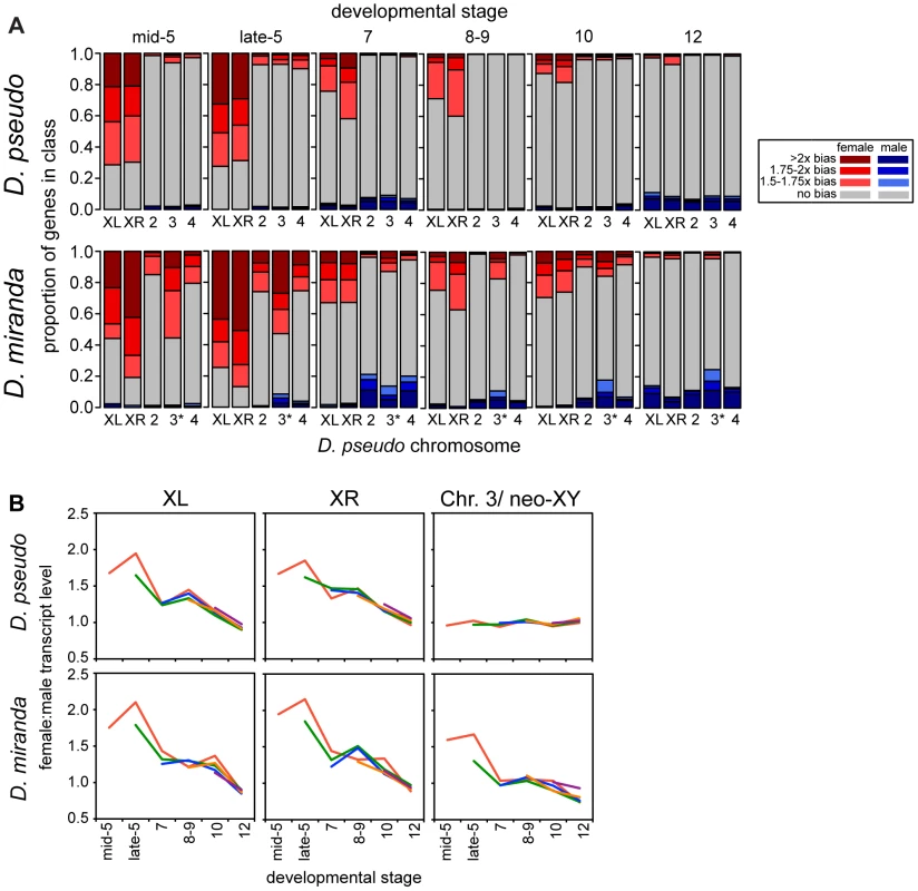 Onset of dosage compensation in <i>D. pseudoobscura</i> and <i>D. miranda</i>, on a genome-wide scale.