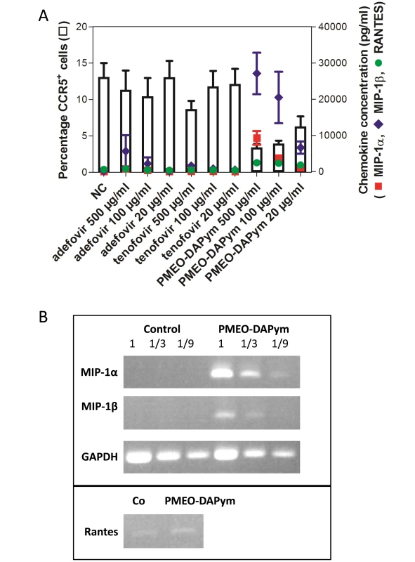 Expression of CC-chemokines, CCR5 and chemokine mRNA expression in PBMC cultures after drug treatment.