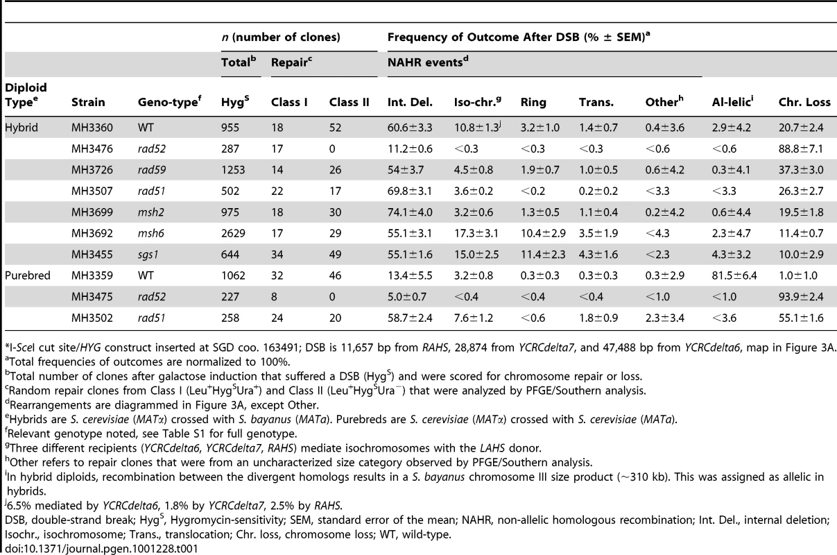Frequencies of outcomes after an I-<i>Sce</i>I-induced DSB at 163cs<em class=&quot;ref&quot;>*</em> on <i>S. cerevisiae</i> chromosome III in wild-type and recombination mutants.