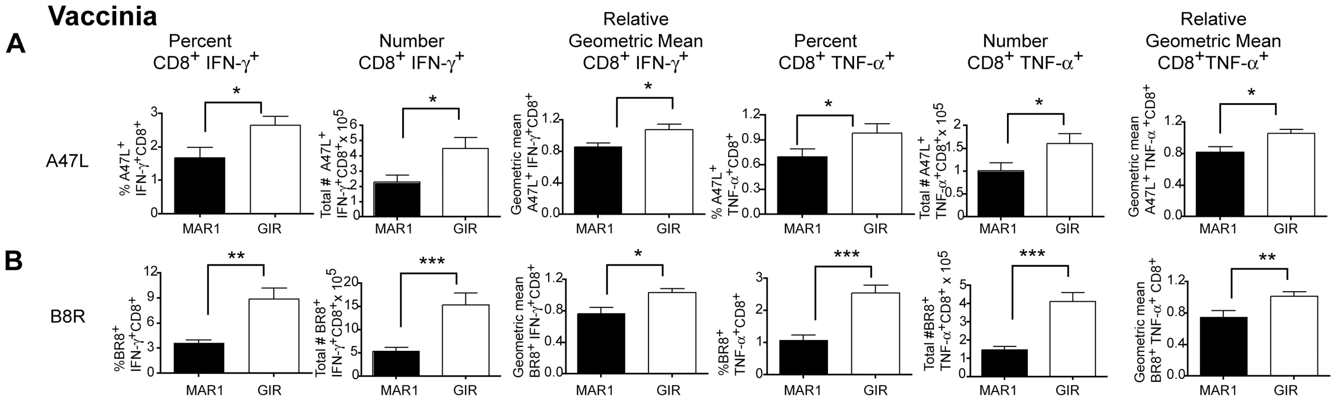 Effect of MAR1-5A3 on VV-specific CD8<sup>+</sup> T cell responses in the spleen.