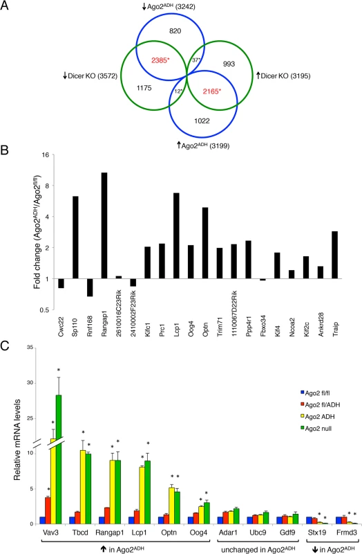 Extensive transcriptome changes, and high correlation with <i>Dicer</i> KO oocytes, in <i>Ago2</i><sup>ADH</sup> oocytes.