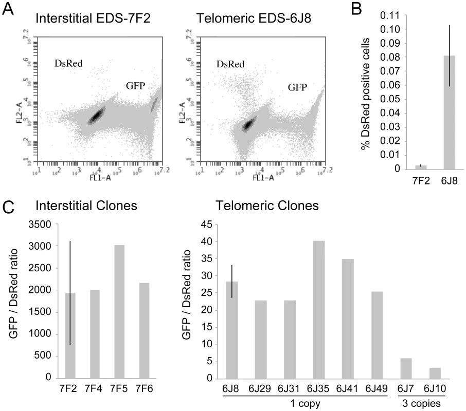 The frequency of NHEJ and GCRs at interstitial and telomeric I-<i>Sce</i>I-induced DSBs.