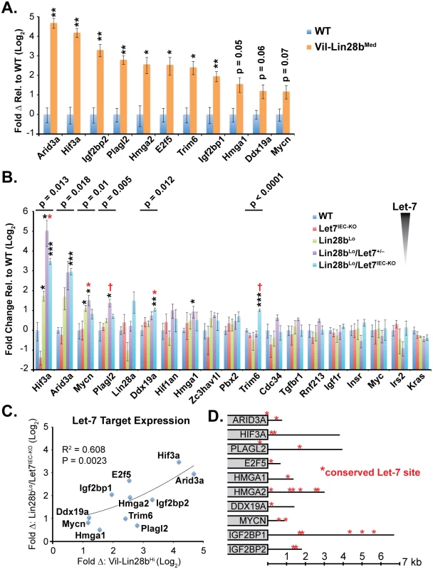 Quantification of Let-7 target mRNA levels in intestinal epithelium crypts.