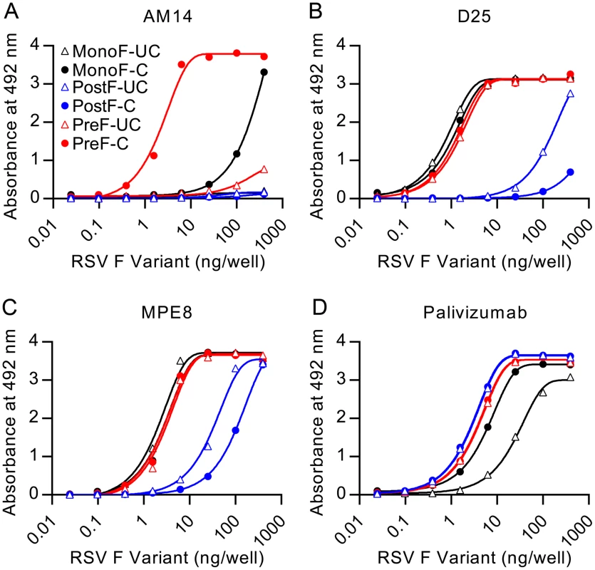 AM14 is specific for cleaved, trimeric RSV F.