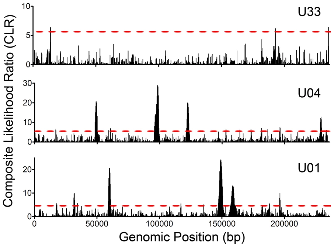 Selective Sweeps were detected within HCMV intrahost populations.