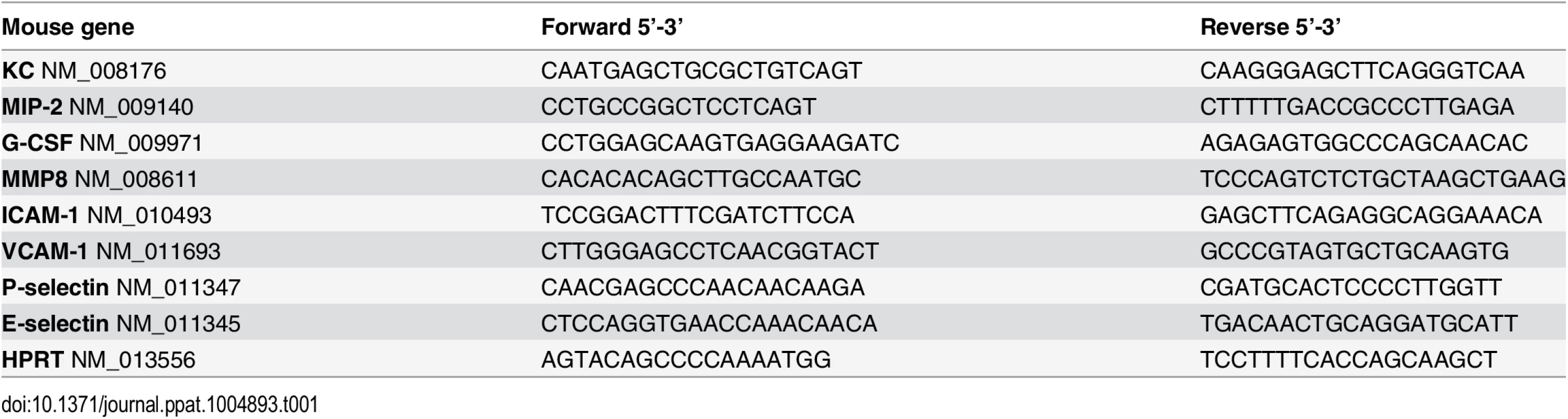 Sequences of the primers used in this study.